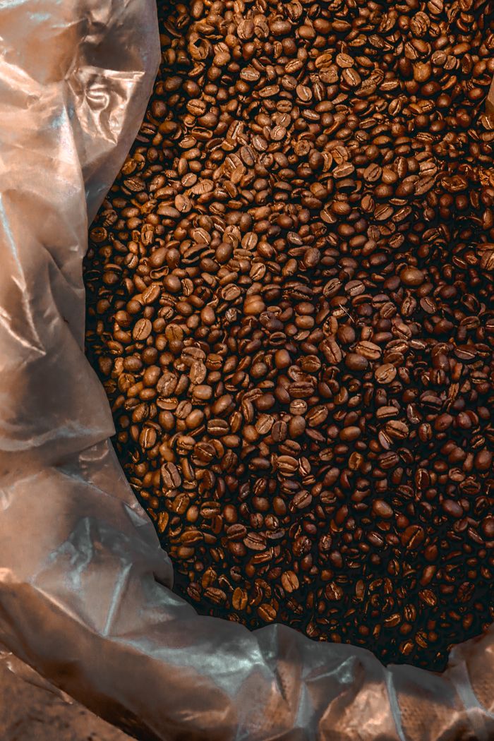 A close-up shot of freshly roasted coffee beans captured in a plastic-wrapped bag.
