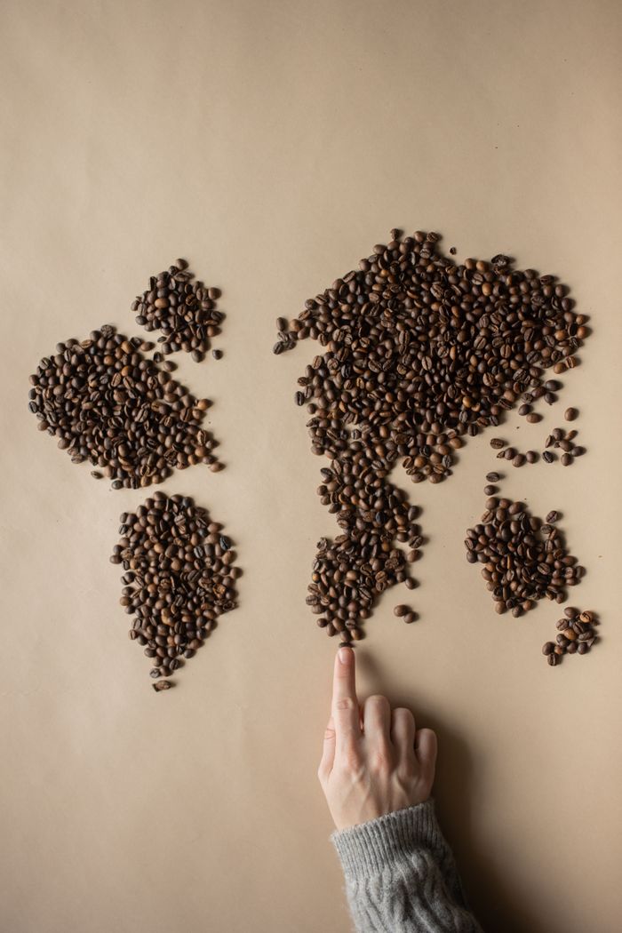 Overhead of crop anonymous person adjusting beans of coffee placed in form of world map